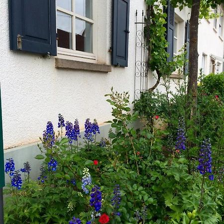 Seelig'S Weinsheim  Экстерьер фото