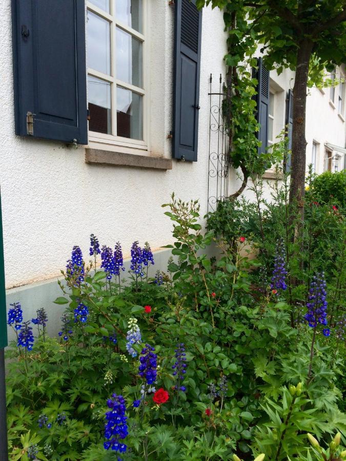 Seelig'S Weinsheim  Экстерьер фото